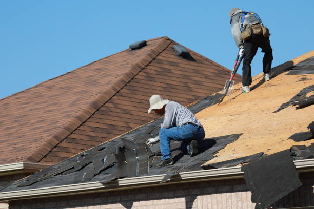 Best Gutter Installation and Repair  in Fernley, NV
